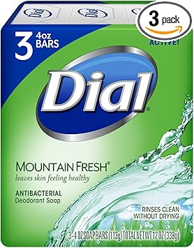 Dial Antibacterial Deodorant Soap Mountain Fresh 4 Ounce 9 Bars - Image 1