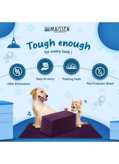 Maissen Pet Dry Sheet Large- Plum | Size-140Cm X100Cm | for All Pets | Waterproof Reusable Pee Pads for Dogs | Cat Mat | Washable Pet Dry Sheet | Training Pads for Dogs | Odor Remover | Quick Dry - pzsku/Z555EE6F80C99774C6BF0Z/45/_/1738306713/2dd31871-f400-4885-8fd6-94d2051d61d1