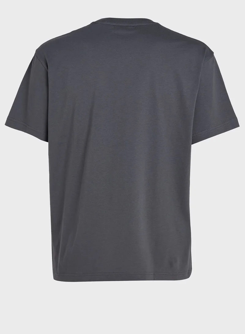 CALVIN KLEIN Logo Crew Neck T-Shirt