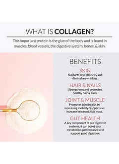 Alaya Naturals Alaya Naturals Hydrolyzed Multi Collagen Peptides Protein Capsules - Type I, II, III, V, X Grass-Fed Bovine, Chicken, Marine Collagen Supplement with MSM + GC (Capsules - 120 Count)  - Image 2