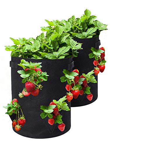 GOTGELIF 10 Gallon Strawberry Grow Bags 2-Pack, Thickened Nonwoven Grow Pots with 8 Pockets & Reinforced Handles for Strawberries, Tomatoes, Peppers, Herbs, Flowers - Image 1