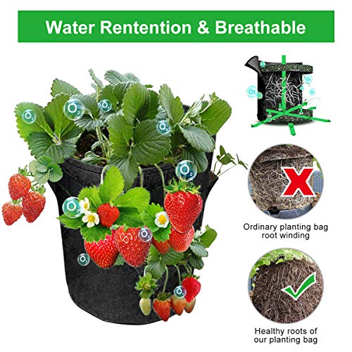 GOTGELIF 10 Gallon Strawberry Grow Bags 2-Pack, Thickened Nonwoven Grow Pots with 8 Pockets & Reinforced Handles for Strawberries, Tomatoes, Peppers, Herbs, Flowers - Image 4