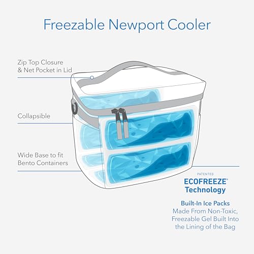 PackIt Freezable Newport Cooler, Black, Collapsible, Reusable, Built with ECOFREEZE® Technology, Wide Top Opening, Double Zip Closure, with Adjustable & Removable Shoulder Straps for Easy Carrying - Image 2