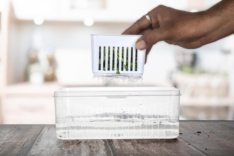 SHRUJA Silicone Fridge Storage Box 4 Compartment Fridge Storage Box 1 Transparent - Image 5