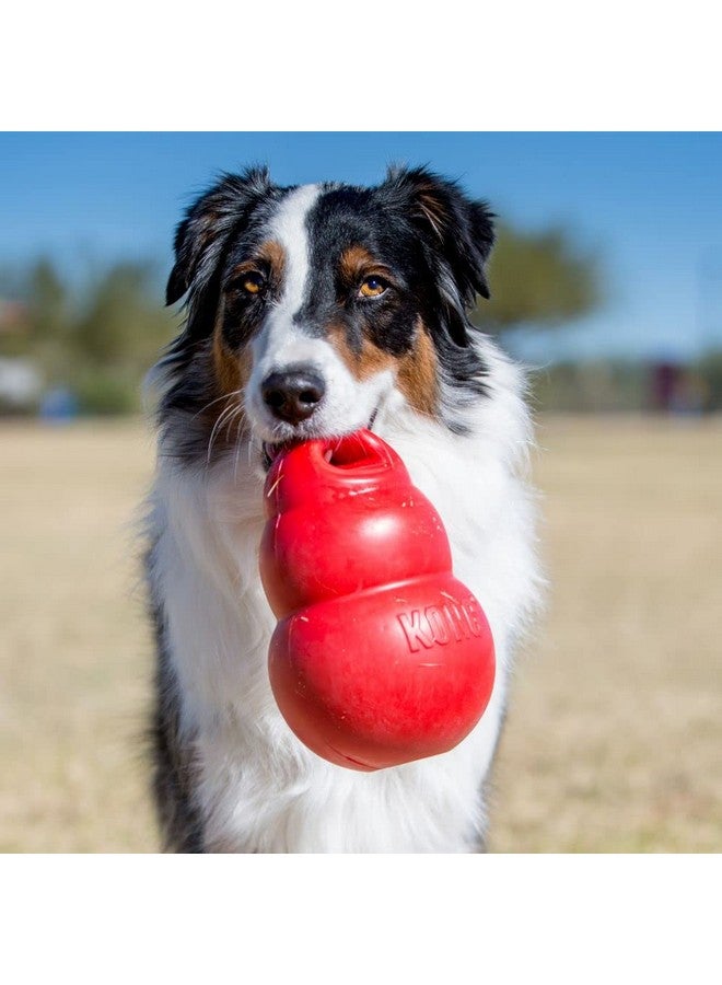 كونج - بونزر اكس لارج - Image 2