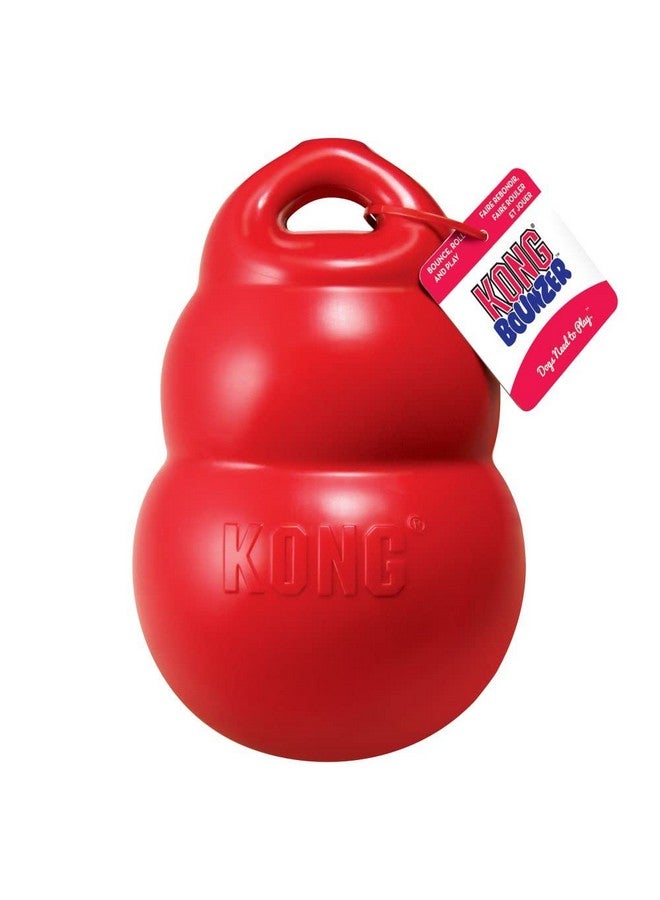 كونج - بونزر اكس لارج - Image 3