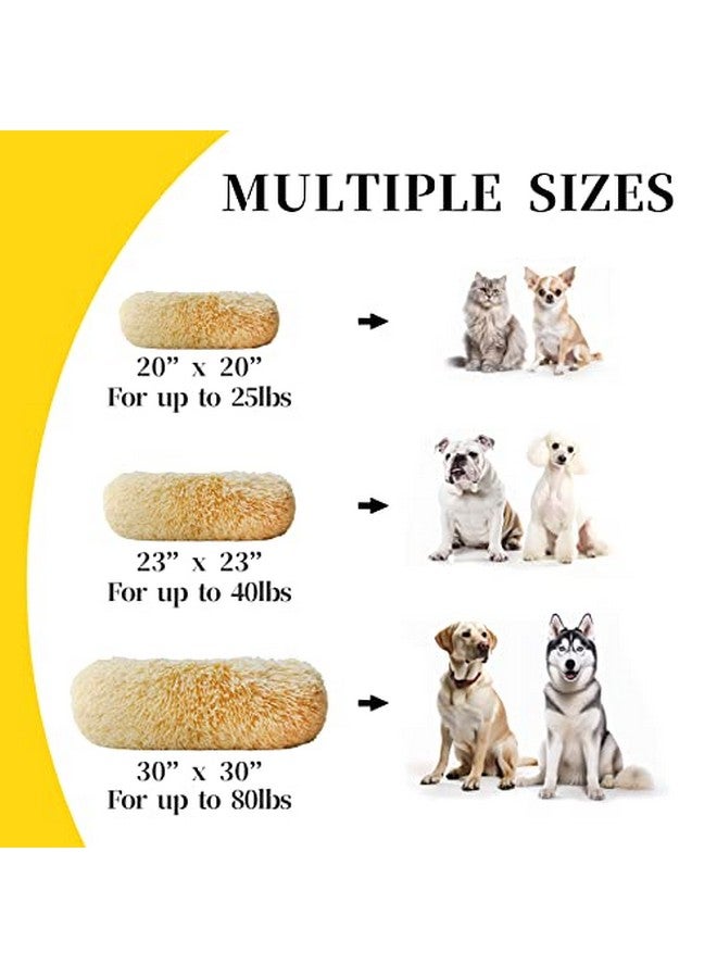سرير الكلاب المحشو على شكل دونات - حل نوم مريح ودافئ للكلاب المتوسطة والصغيرة والقطط في الأماكن المغلقة (20 × 20 بوصة، كريستال) - Image 4
