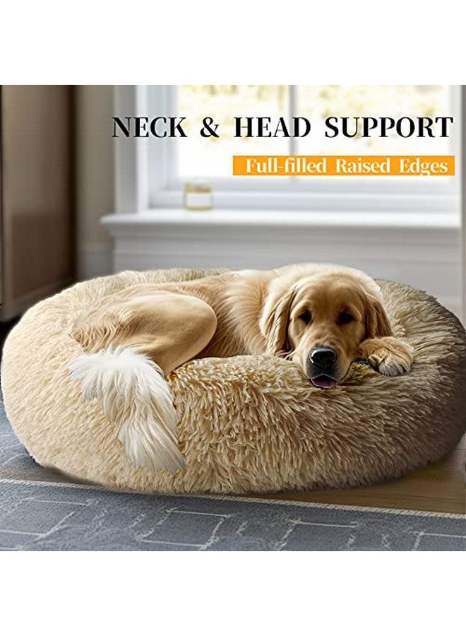 سرير الكلاب المحشو على شكل دونات - حل نوم مريح ودافئ للكلاب المتوسطة والصغيرة والقطط في الأماكن المغلقة (20 × 20 بوصة، كريستال) - Image 5