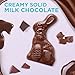 Russell Stover Milk Chocolate Easter Rabbit 7 oz - Image 4