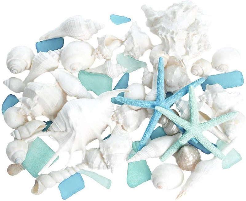 Nautical Crush Trading Sea Shells - White Real Mixed Beach Seashells (1lb) with Starfish & Sea Glass - Shells for Crafts - Ocean Decor - Beach Party Decorations - Seashell Decor - Large Shells Crafts - Image 1