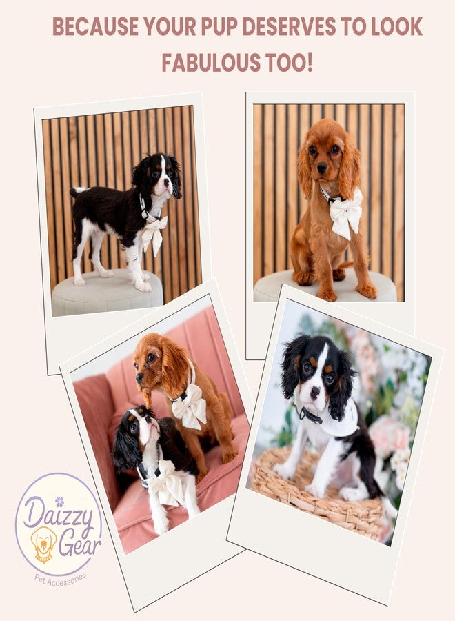 Daizzy Gear Medium Dog Harness Set – Cute No Pull, All Weather, Breathable Harness and Leash Set with Collar, Bandana, Sailor Bow & Poop Bag Holder – Adjustable, Soft & Stylish - Cream Hearts on Jacquard Fabric - Image 5
