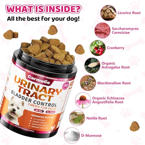 Carmelie Dog Urinary Tract Supplement, Cranberry Supplement for Dog Urinary Tract, Cranberry Chews for Dogs with D-Mannose, Kidney+Bladder Support, Digestion & Immune Support-200Chews - Image 4