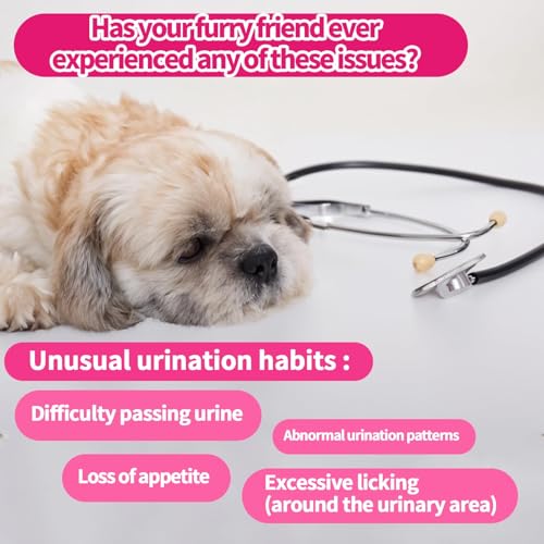 Carmelie Dog Urinary Tract Supplement, Cranberry Supplement for Dog Urinary Tract, Cranberry Chews for Dogs with D-Mannose, Kidney+Bladder Support, Digestion & Immune Support-200Chews - Image 2