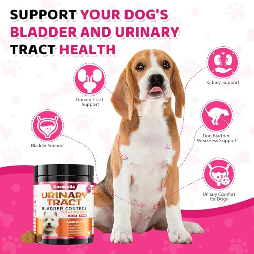 Carmelie Dog Urinary Tract Supplement, Cranberry Supplement for Dog Urinary Tract, Cranberry Chews for Dogs with D-Mannose, Kidney+Bladder Support, Digestion & Immune Support-200Chews - Image 5