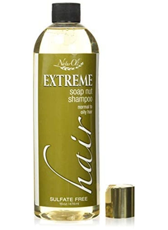 naturoli Soap Berry Shampoo - Normal to Oily 16oz - All Natural Hair Care Sulfate Free - Made with Organic Soap Berries - Gluten Free - Vegan - Image 1