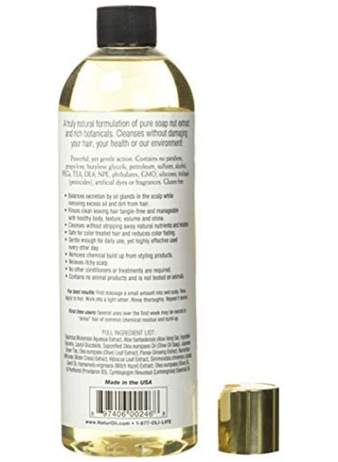 naturoli Soap Berry Shampoo - Normal to Oily 16oz - All Natural Hair Care Sulfate Free - Made with Organic Soap Berries - Gluten Free - Vegan - Image 2