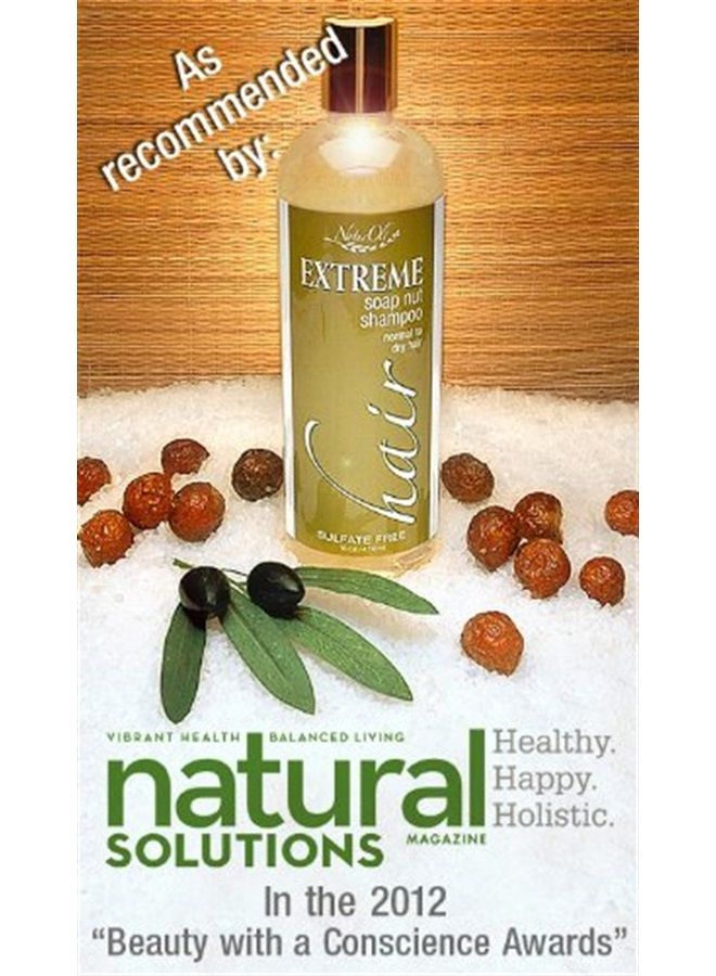 naturoli Soap Berry Shampoo - Normal to Oily 16oz - All Natural Hair Care Sulfate Free - Made with Organic Soap Berries - Gluten Free - Vegan - Image 3
