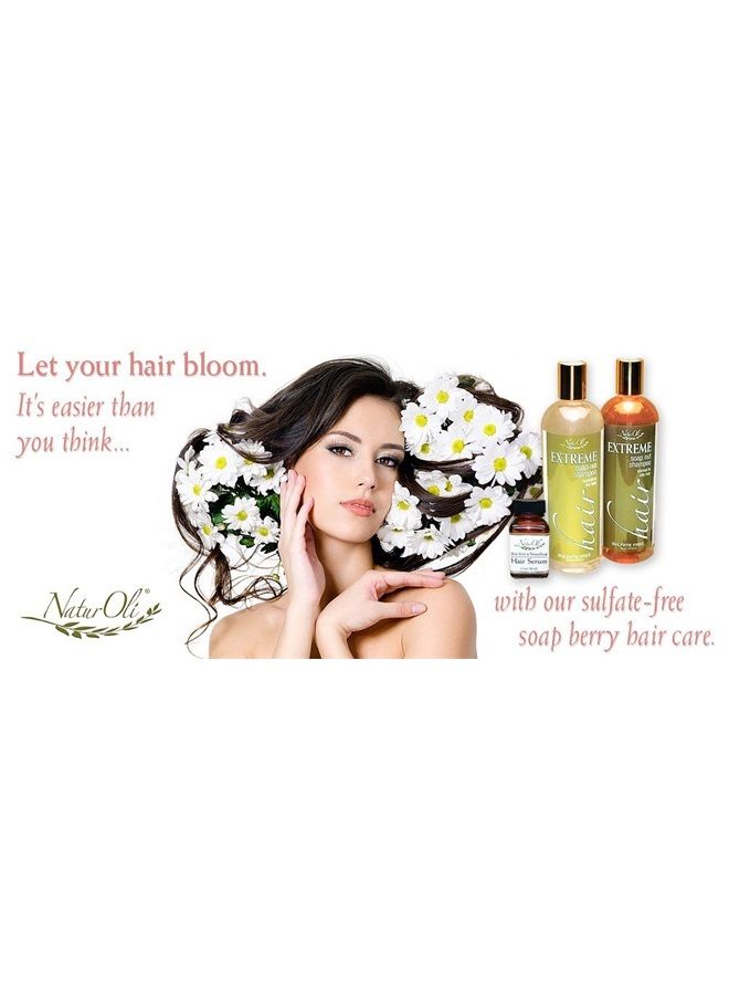 naturoli Soap Berry Shampoo - Normal to Oily 16oz - All Natural Hair Care Sulfate Free - Made with Organic Soap Berries - Gluten Free - Vegan - Image 5