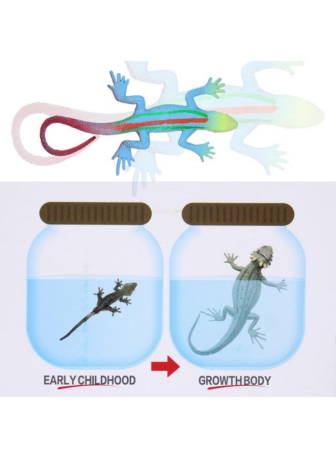 بال ألعاب حيوانات مائية من BAAL للأطفال الأولاد والبنات، نشاط ممتع للعب ألعاب الحيوانات المائية (متعددة الألوان (M1)) - Image 5