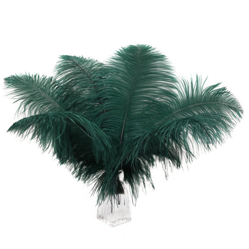 Ballinger Blackish Green Ostrich Feathers  12Pcs 1214inch Long Craft Feathers Bulk for Vase Wedding Party Centerpieces Mardi Gras Decorations and Home Decor
