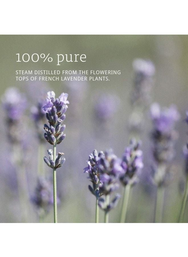Organic Lavender Essential Oil 30ml - Image 3
