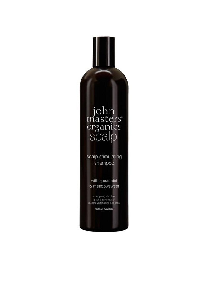 John Masters Organics Scalp Stimulating Shampoo 16 Oz | Organic Spearmint & Meadowsweet | 70% Organic Ingredients | Clarifying Shampoo | Improve Scalp Health | Sulfate-Free, 16 Fl Oz - Image 1