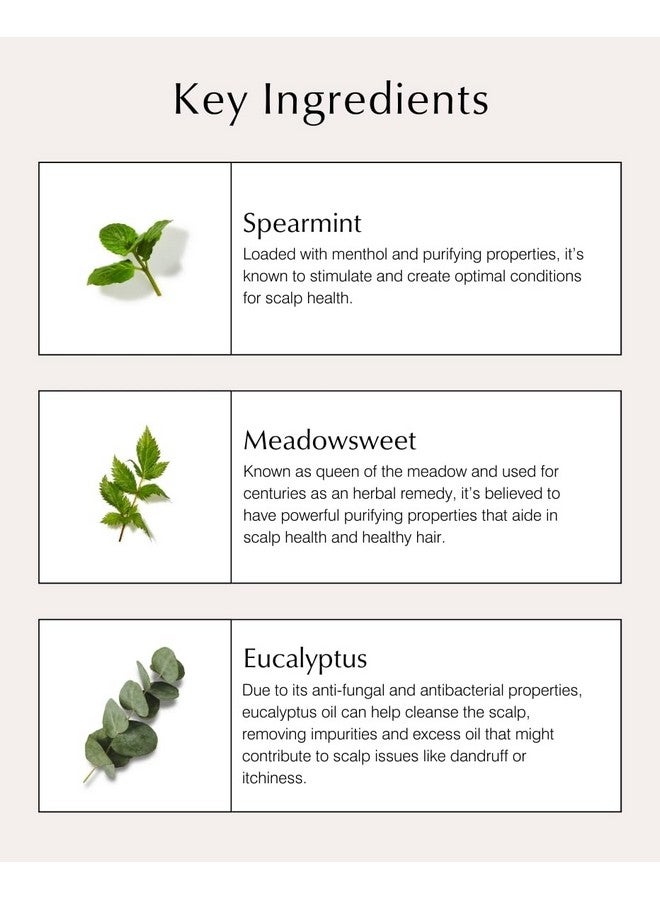 John Masters Organics Scalp Stimulating Shampoo 16 Oz | Organic Spearmint & Meadowsweet | 70% Organic Ingredients | Clarifying Shampoo | Improve Scalp Health | Sulfate-Free, 16 Fl Oz - Image 4