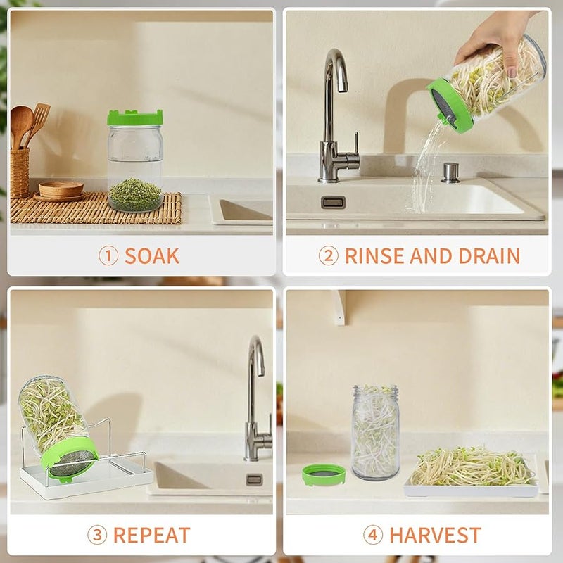 Seed Sprouting Kit with Seeds, 2 Large Wide Mouth Mason Jars with Sprout Lids, Blackout Sleeves, Drain Tray, Stainless Steel Stand, Sprouts Growing Kit for Growing Bean Alfalfa Sprout Seeds - Image 4