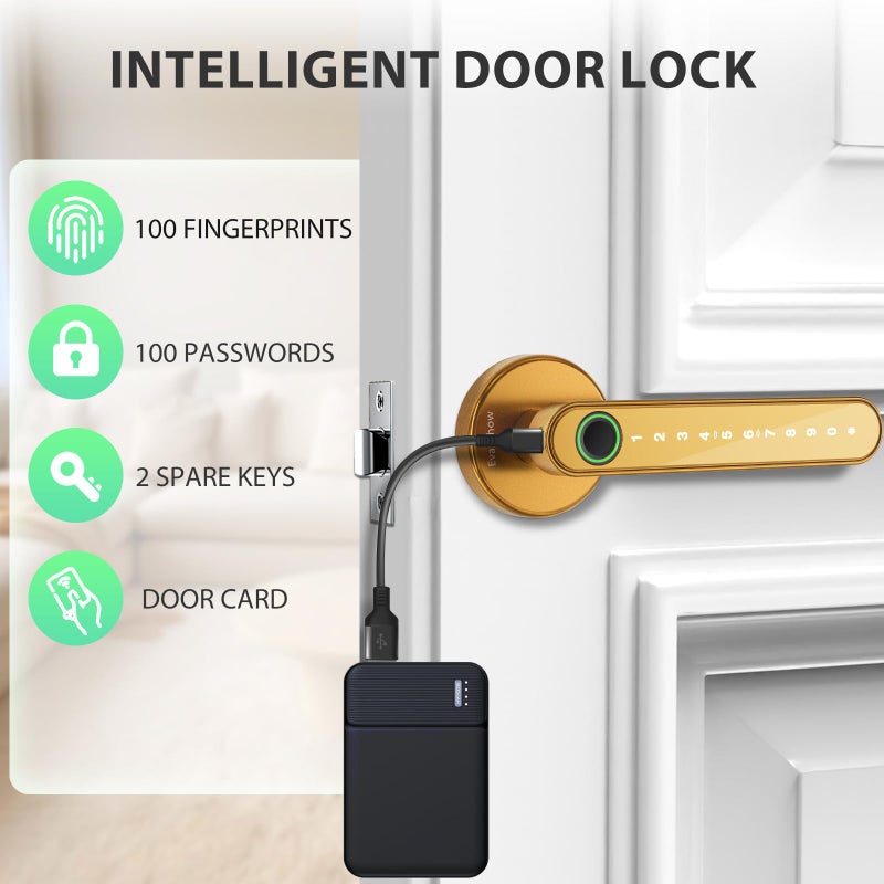 Evanshow Fingerprint Door Lock Biometric Door Knob with Keypad Keyless Entry, Door Locks for Bedrooms, Home Hotel Office Apartment Gold - Image 2
