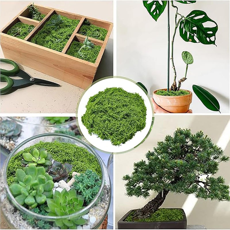 Ahlan 100g Artificial Moss for Potted Plants, Fake Grass, Faux Garden Decor, DIY Green Crafts, Glass Containers,Wall and Party Decorations, Art Moss (primary color) - Image 4