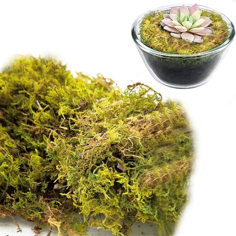 Ahlan 100g Artificial Moss for Potted Plants, Fake Grass, Faux Garden Decor, DIY Green Crafts, Glass Containers,Wall and Party Decorations, Art Moss (primary color) - Image 1