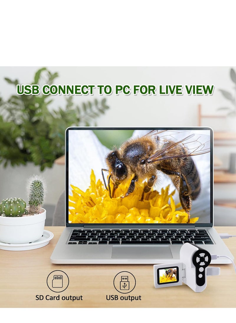 Generic - Microscope for Kids, 1000x Handheld Kids Microscope with 6 Adjustable LED Lights, 2 LCD Screen Mini Portable Microscope USB to PC for Kids 8-12, Comes with 32GB SD Card - Image 1