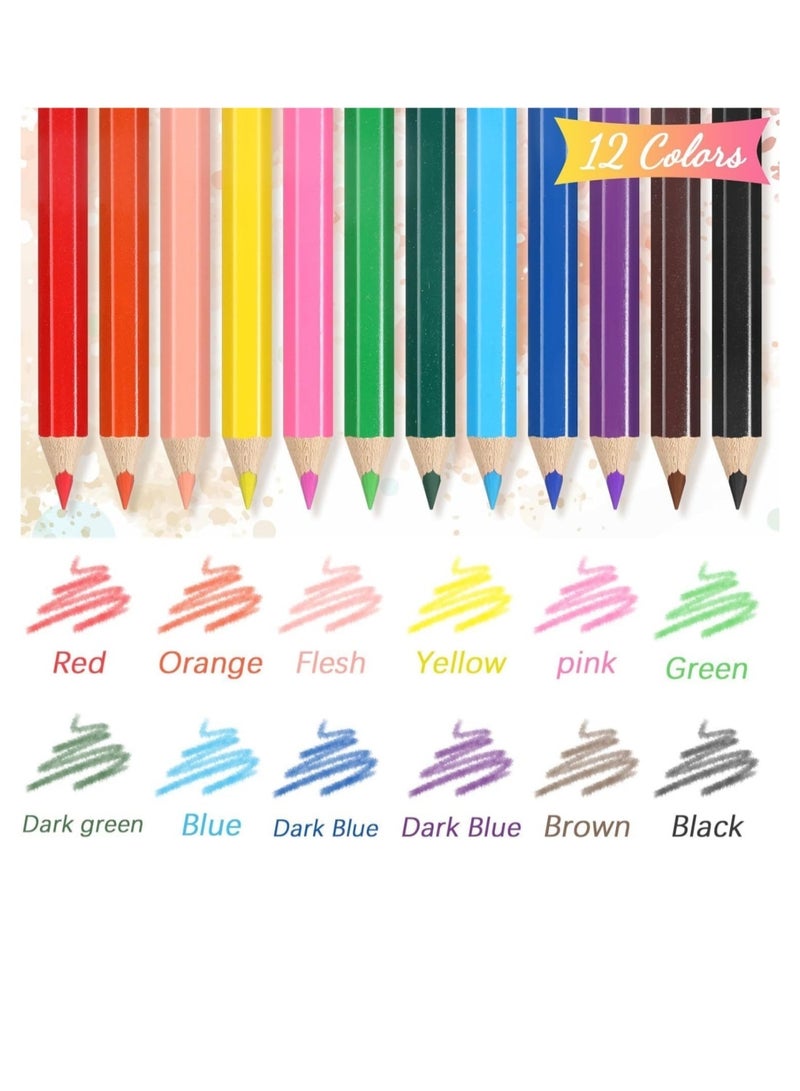 دايلي شيك 144 قطعة/12 صندوقًا من أقلام الرصاص الملونة للأطفال، 3.5 بوصة، 12 لونًا مختلفًا مع مبراة وممحاة للرسم، العودة إلى المدرسة، لوازم الفصل الدراسي - Image 5