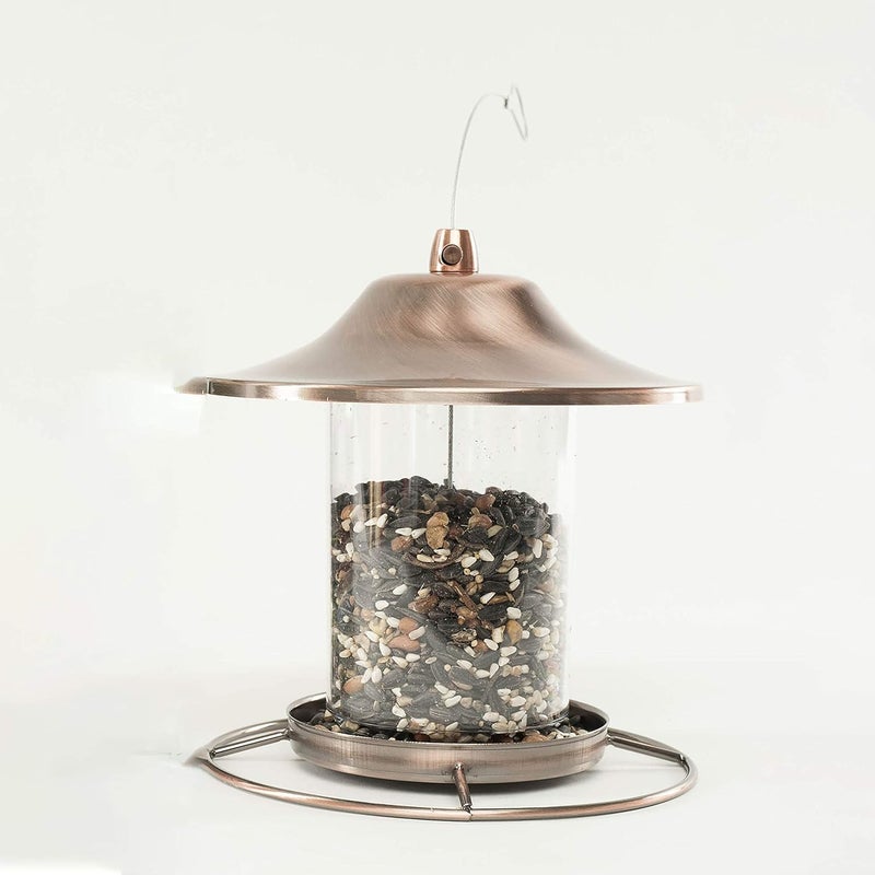 فاجنرز طعام الطيور البرية Wagner’s 82042 Songbird Banquet، كيس وزنه 5 أرطال - Image 5