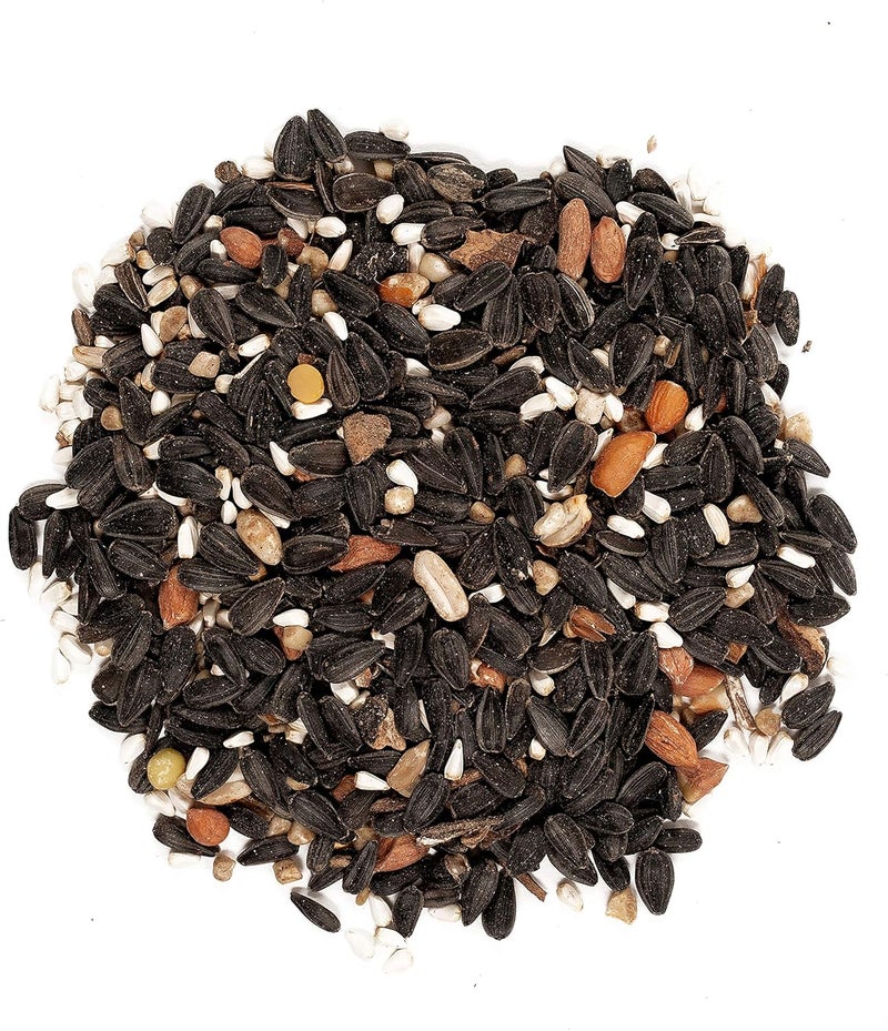 فاجنرز طعام الطيور البرية Wagner’s 82042 Songbird Banquet، كيس وزنه 5 أرطال - Image 3