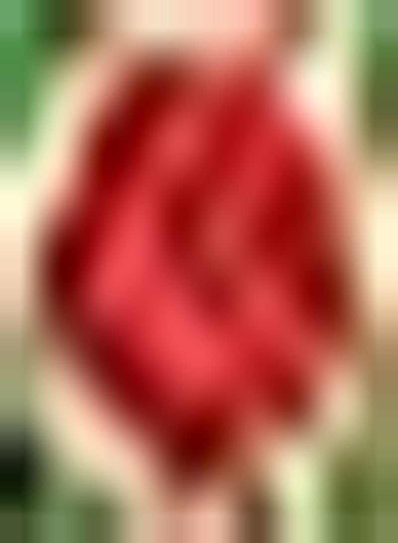 GGOOT 2pcs Rode Dahlia Bollen Boeket Decoratieve Gesneden Tuin Tuin Beplanting Exotische Artistieke Accenten Brengen Gevoel Van Prestatie Weinig Onderhoud - Image 1