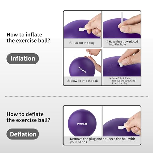 FITMIND_Pilates Ball 10 Inch Anti-Burst Slip Resistant Mini Yoga Ball for Fitness, Core Training, Physical Therapy, Balance, Stability, Stretching 200kg 440lbs Capacity - Purple - Image 5