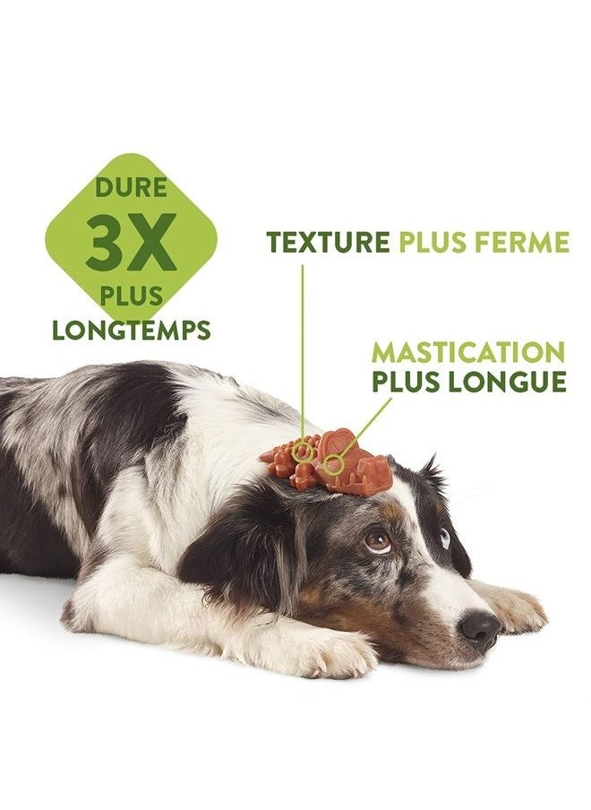 WHIMZEES - Natural Dental Dog Chew Long lasting, Variety Box Mixed Shapes, Small, 56 Pieces - Image 1