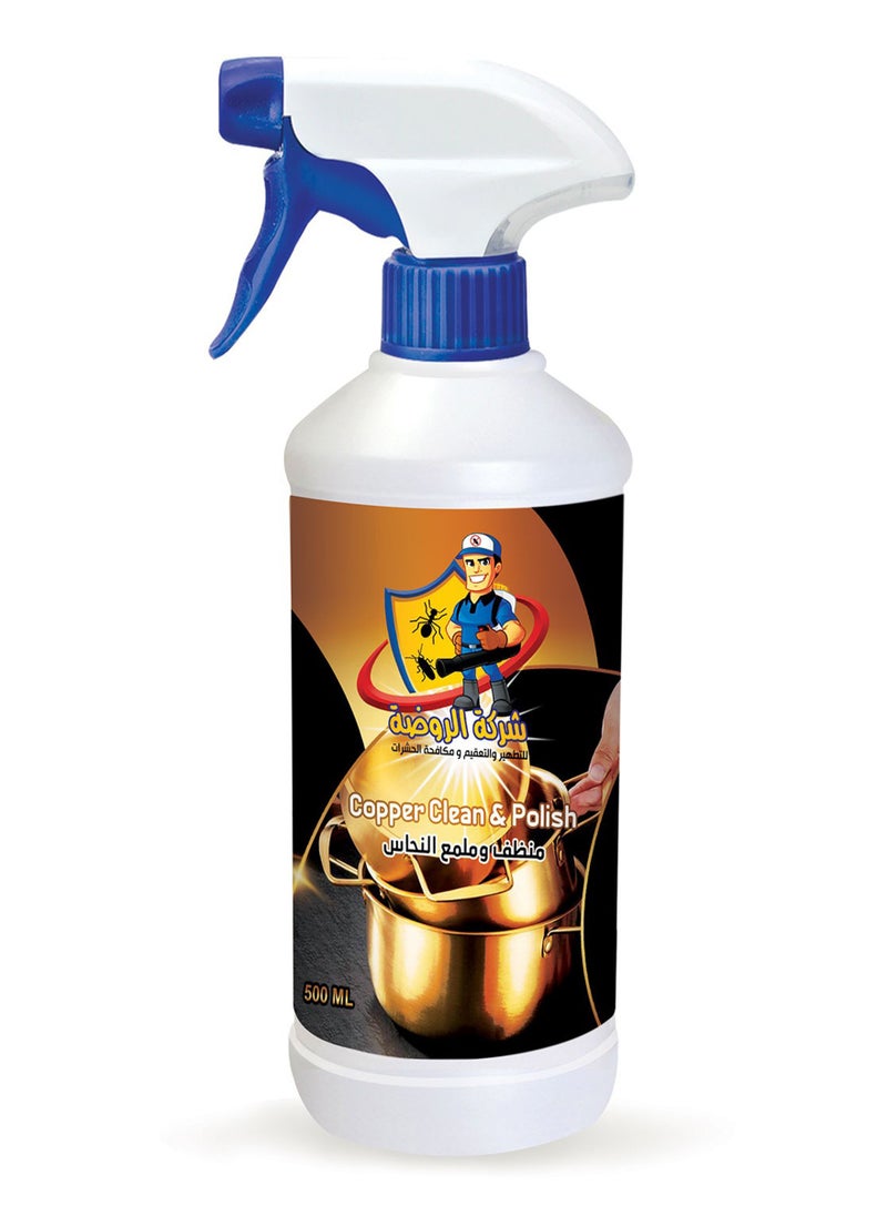 ALRAWDA Al Rawda Copper Powerful Cleaner & Polish, Liquid Cleaner, 500ml 