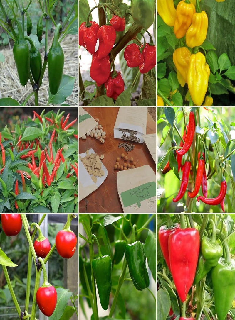 GGOOT Spicy Chili Pepper Seeds Multi-Pack - 8 Different Varieties Heirloom Chillies & Peppers Seed Kit - Image 1