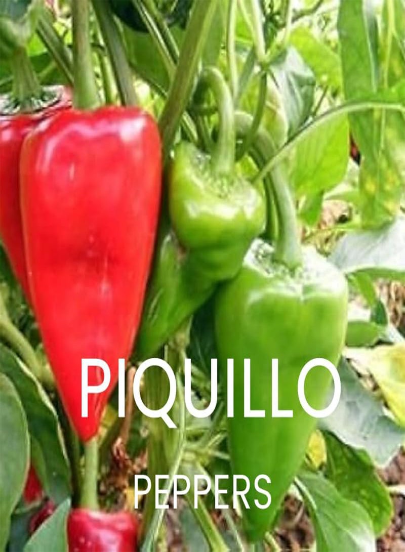 GGOOT Spicy Chili Pepper Seeds Multi-Pack - 8 Different Varieties Heirloom Chillies & Peppers Seed Kit - Image 4