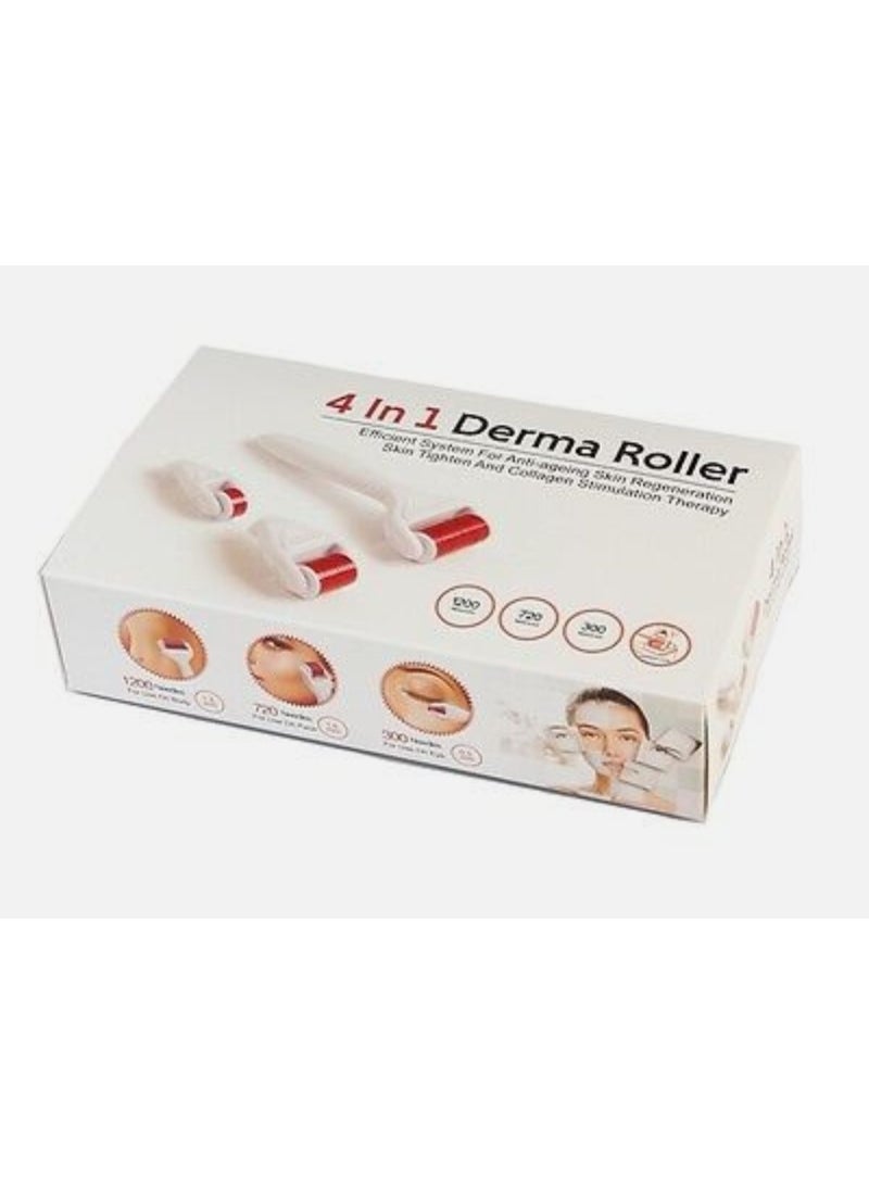 Derma Roller 4 in 1 skin care set - Image 1