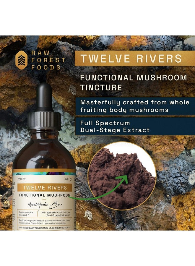 Raw Forest Foods RAW Forest Foods welve Rivers Functional Mushroom MycoMedic Elixir Tincture - 1:2 True Dual-Stage Extraction - Spiced Winter Chai - 4 Fluid Ounce Bottle  - Image 2