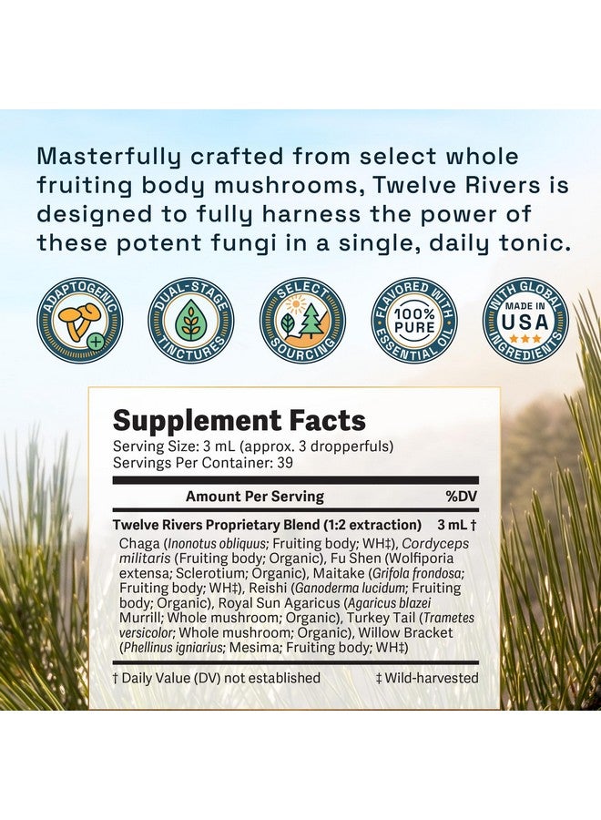 Raw Forest Foods RAW Forest Foods welve Rivers Functional Mushroom MycoMedic Elixir Tincture - 1:2 True Dual-Stage Extraction - Spiced Winter Chai - 4 Fluid Ounce Bottle  - Image 5