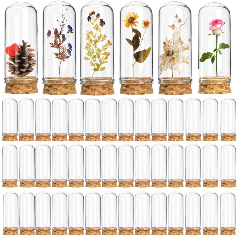 Mezchi 50 Pack 40 ml Glass Cloche Dome, 3 Inch Small Glass Bottles with Cork Stoppers, Decoration Message Bottle Vial Cork for Candy, DIY Art Crafts, Wedding Party Favors - Image 1