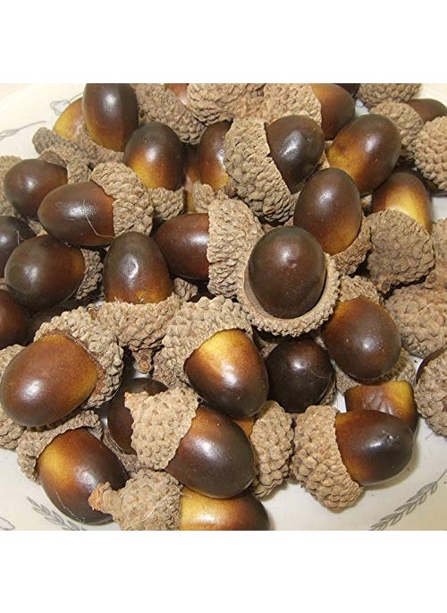 ONWON Onwon 100pcs Simulation Artificial Lifelike Small Acorn with Natural Acorn Cap for DIY Decoration Crafting Home House Kitchen Decor - Fake Fruit Props Acorns  - Image 3