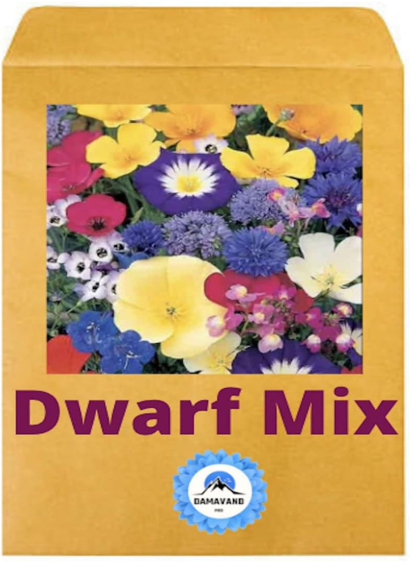 GGOOT - Dwarf Meadow Wild Flower Seeds - 10% Wildflower UK Seeds - Garden, Cottage, Balcony, School (50g) - Image 1