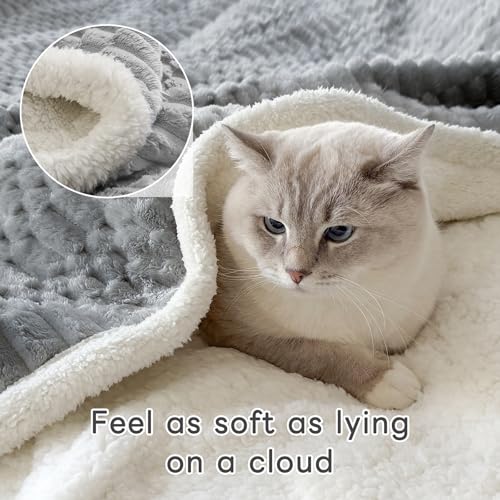 Gracelife Sherpa Throw Blanket for Couch Flannel Cozy Soft Thick Blanket Warm Twin Blanket for Bed Fleece Home Decor Gifts, Z01 - Light Grey, 60"*80" - Image 4