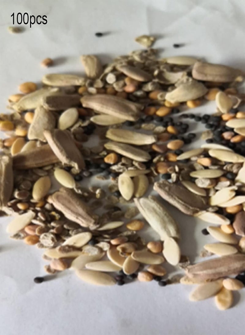 جي جوت 100 قطعة من بذور الخضروات المختلطة من 4 أنواع، نبات الكرنب والكزبرة الصغير للحديقة للزراعة في الفناء الخارجي، 1 بذور خضراوات مختلطة - Image 2