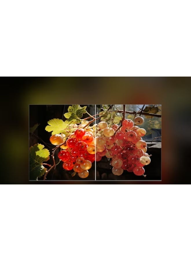 آركيو شاشه 50 بوصه سمارت جوجل تي في 120 هرتز كيو ليد - Image 2